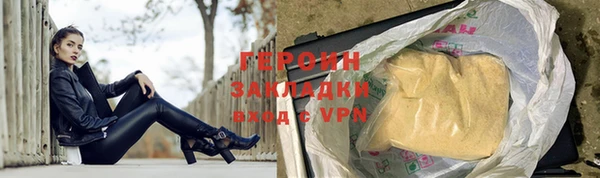 прущие грибы Новозыбков