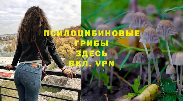 крисы Няндома