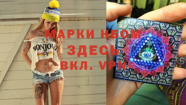 крисы Няндома
