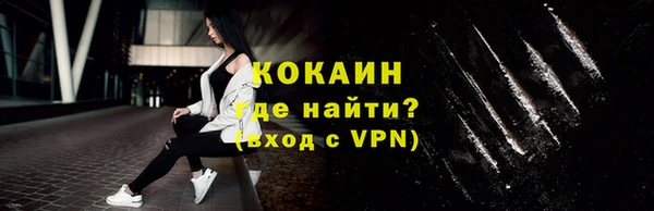 прущие грибы Новозыбков