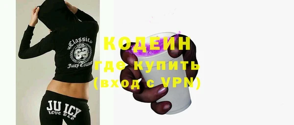 крисы Няндома