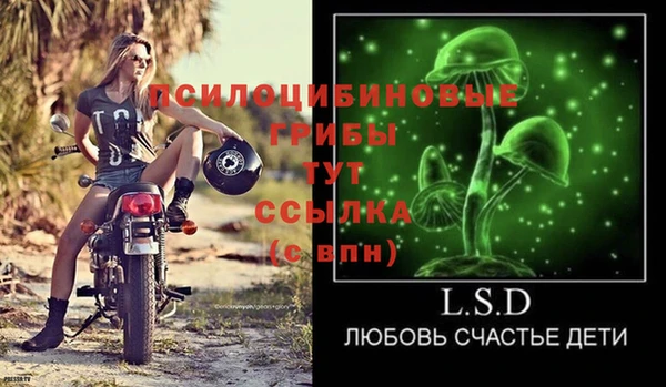 крисы Няндома