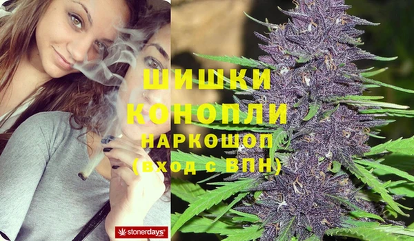 дживик Нязепетровск