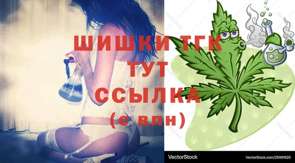 крисы Няндома