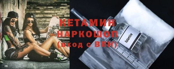 крисы Няндома