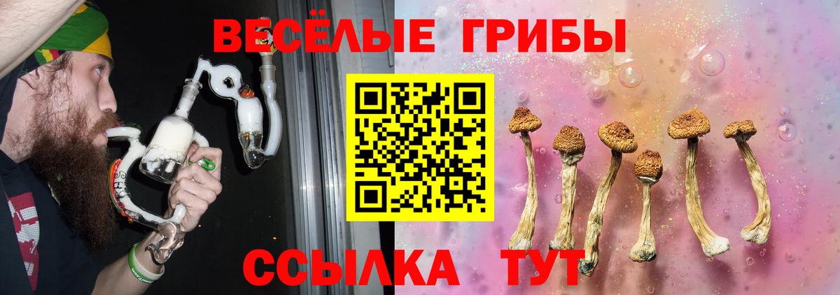 Псилоцибиновые грибы Psilocybe  Вход с VPN  что такое наркотик  Новокубанск  Псилоцибиновые грибы мицелий 