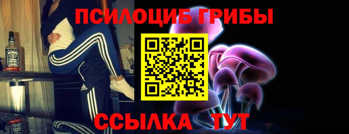Псилоцибиновые грибы Magic Shrooms Новокубанск