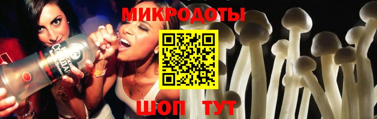 закладка  Новокубанск  Галлюциногенные грибы прущие грибы 