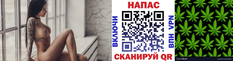 дарнет шоп  Новокубанск  Каннабис гибрид 